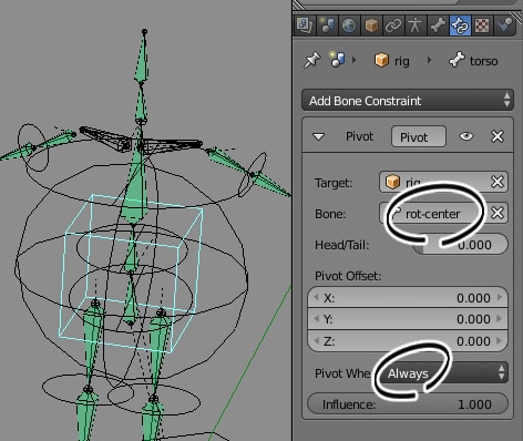 torso の設定