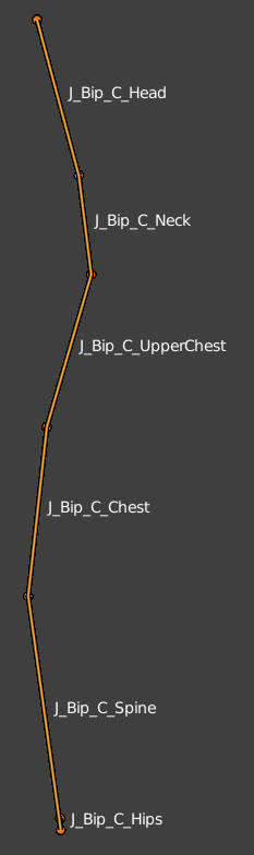 spine bone