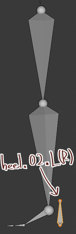 heel bone