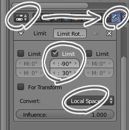 Limit Rotation の設定