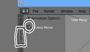 x axis mirror