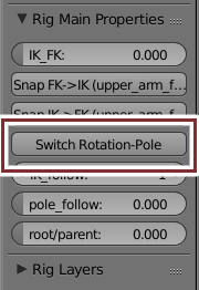 switch rotation-pole