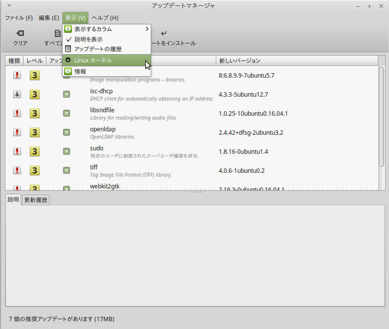 kernel window